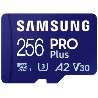 Samsung Fro Plus 256gb