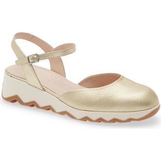 Wonders Ankle Strap Platform Ballet Pump in Max Platino at Nordstrom, Size 9.5-10Us