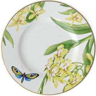 Villeroy & Boch Amazonia Salad Plate Round in White at Nordstrom