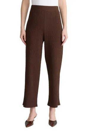 Jones New York Puckered Wide Leg Pull-On Ankle Pants in Fudge at Nordstrom, Size X-Small P