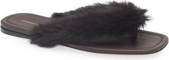 Ferragamo Loly Genuine Shearling Flip Flop in Florence Testa Di Moro at Nordstrom, Size 9.5