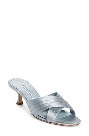 Manolo Blahnik Vieramul Slide Sandal in Blue at Nordstrom, Size 10.5Us
