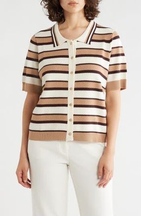 Adrianna Papell Stripe Polo Sweater in Chocolate Combo at Nordstrom Rack, Size X-Large