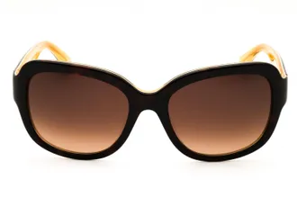 Kate Spade New York LAYNES Sunglasses - Brown