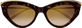 Cartier Cartier Ct0596s Panthere De Cartier 002 Havana Gold Brown Sunglasses