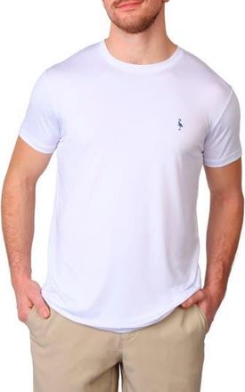 Tailorbyrd Performance Crewneck T-Shirt in Dove White at Nordstrom Rack, Size Xx-Large