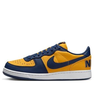 Nike Terminator Low Michigan FJ4206-700