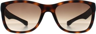 Lacoste Rectangle Mens Havana Brown Gradient L662S - One Size