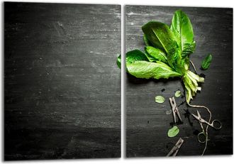 OEM Placa Protectora De Vidrio Para Estufa 2x40x52 Albahaca