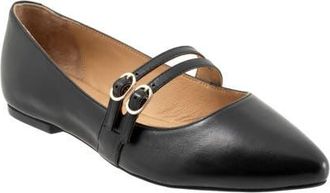 Trotters Emerald Pointed Toe Mary Jane Flat in Black at Nordstrom, Size 10.5