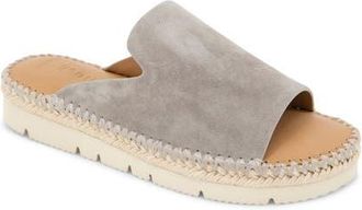 Gentle Souls Leilani Slide Sandal in Dark Taupe Suede at Nordstrom, Size 7.5