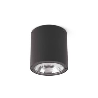 Netlighting Goz LED Outdoor Surface Mounted Ceiling Light Dark Grey IP54