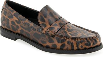 Aerosoles Sienna Penny Loafer in Tobacco Multi at Nordstrom, Size 7.5