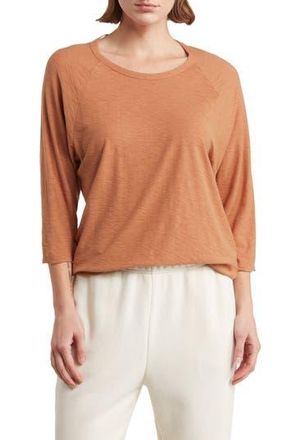 James Perse Raglan Sleeve Top in Nutmeg at Nordstrom Rack, Size 1 (Fits Like 0-2 Us)