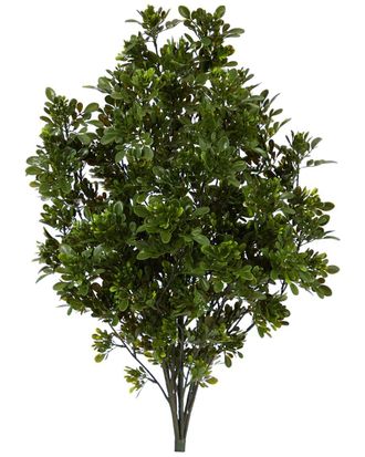 Nearly Natural 2.5Ft Tea Leaf Artificial Plant Uv-Resistant (Indoor/Outdoor)