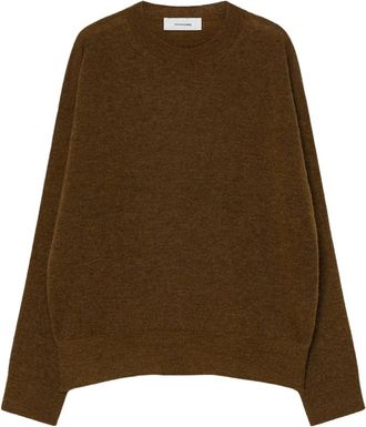 Pomandere Dames Alpaca Wol Trui Lichtgewicht - Dames - Ronde hals truien - Bruin - L - Wol - Truien & Vesten