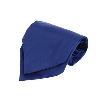 Trafalgar Store Grant Solid Colored Silk Ascot in Navy Blue at Nordstrom