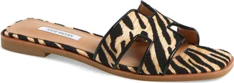 Steve Madden Hadyn Slide Sandal in Zebra at Nordstrom, Size 6.5