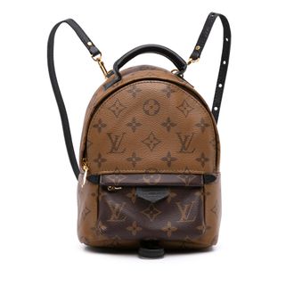 Louis Vuitton Palm Springs Rugzak Mini