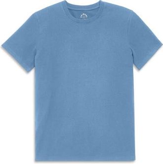 primary Adult Classic Tee in Vintage Blue at Nordstrom, Size Xx-Large