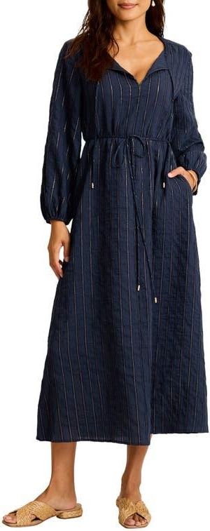Metallic Stripe Long Sleeve Maxi Dress in Coastline at Nordstrom, Size X-Small