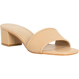Shushop Finley Slide Sandal in Beige at Nordstrom, Size 8.5