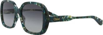 Chlo&eacute; Mens 55Mm Sunglasses