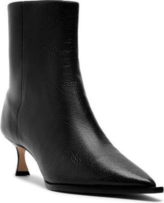 Alexandre Birman Myra Pointed Toe Kitten Heel Bootie in Black at Nordstrom, Size 6.5