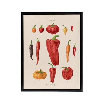 Artery8 Capsicums & Chili Peppers Ernst Benary Framed Canvas Wall Art Print in White | Size: W24 x H32