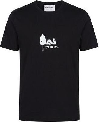 Iceberg PEANUTS