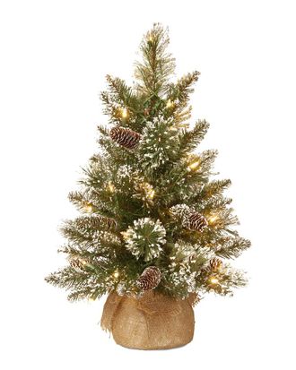 National Tree Company 2ft Glittery Bristle Pine Burlap Tree