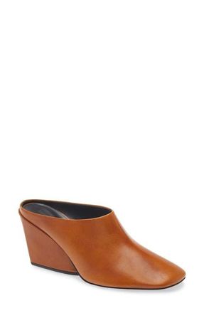Proenza Schouler Slant Mule in Brown at Nordstrom, Size 6.5Us