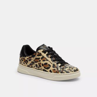 Coach High Line Sneaker With Leopard Print