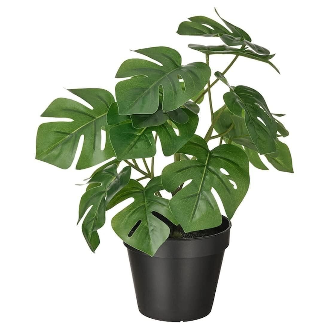 IKEA Ikea FEJKA Knstliche Topfpflanze, hngender Eukalyptus, 58 x 9 cm, 2  Stck ab 21,99  - auf Stylight