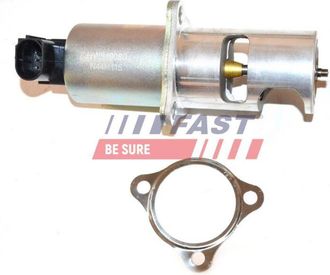 OEM V&aacute;lvula Egr Ft60212 R&aacute;pida
