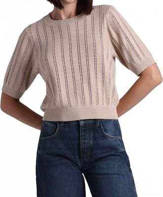 Minnie Rose Pointelle Sparkle Short Sleeve Crew Top In Brown Sugar