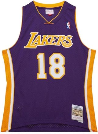 Mitchell & Ness LA Lakers 2009 Paars Jersey Replica - Heren - Fitness - Paars - S - Polyester - Fitness