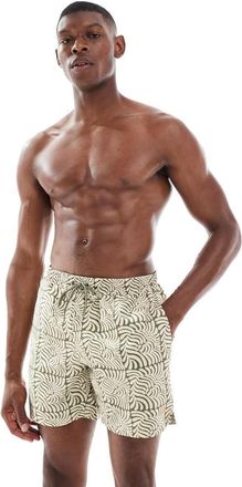 Farah Colbert - Pantaloncini da bagno con stampa fantasia verde e beige