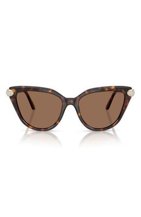 Swarovski 56mm Cat Eye Sunglasses in Havana/Dark Brown at Nordstrom
