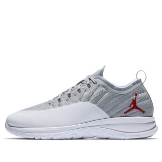 Nike Jordan Air Jordan Trainer Prime Wolf Grey 881463-008