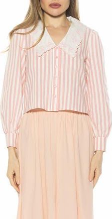 Alexia Admor Issey Embroidered Collar Button-Up Shirt in Pink Stripe at Nordstrom Rack, Size X-Small