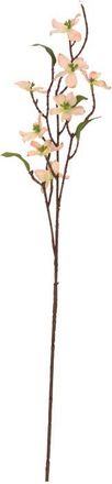 Mark Roberts Mini Dogwood Spray, Set of 12 in Light Pink at Nordstrom