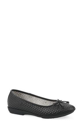 White Mountain Carris Perforated Flat in Black/Smooth at Nordstrom Rack, Size 8.5