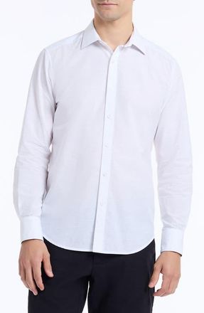 Robert Graham Avondale Cotton Button-Up Shirt in Ivory at Nordstrom, Size Xxx-Large