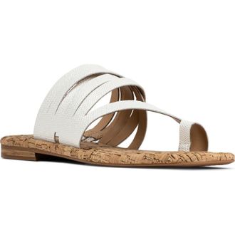 Donald J Pliner Hazie Toe Loop Sandal in Porcelain at Nordstrom, Size 5.5
