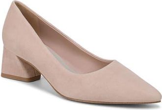 Franco Sarto Racer Pointed Toe Pump in Ballet Slipper at Nordstrom, Size 7.5