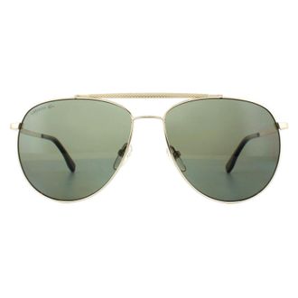 Lacoste Aviator Mens Gold Dark Green Polarisated zonnebril