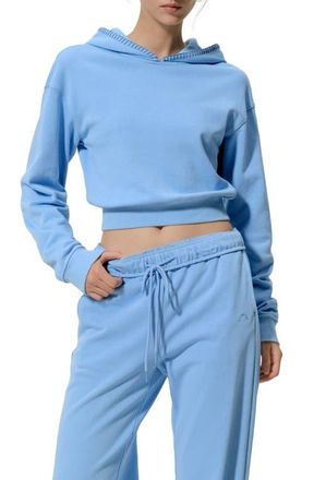 LilySilk SILKERRY Cropped Fit Seamflow Poise Pullover Hoddie in Lagoon Blue at Nordstrom, Size X-Small