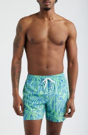 Chubbies The Frond Farwells Palm Tree Print 5.5-Inch Swim Trunks in Bright Green - Pattern Base at Nordstrom, Size Xx-Large