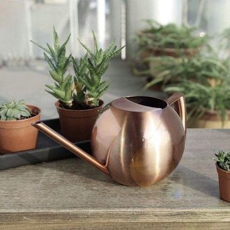 OEM Dailygoods - Regadera De Acero Inoxidable Para Bons&aacute;is Con Boquilla Larga De 1 Litro